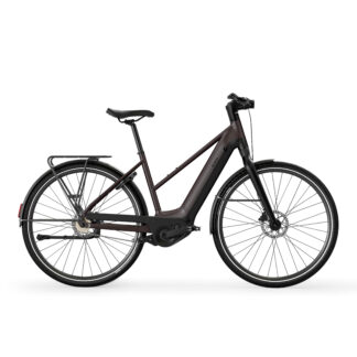 Long-distance Automatic Owuru Motor Low Frame Electric City Bike Ld 920 E